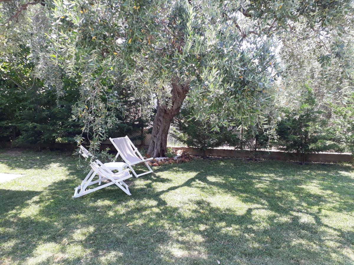 Villa Elia Skala Sotiros Extérieur photo