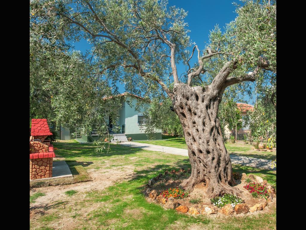 Villa Elia Skala Sotiros Extérieur photo