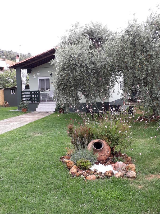 Villa Elia Skala Sotiros Extérieur photo